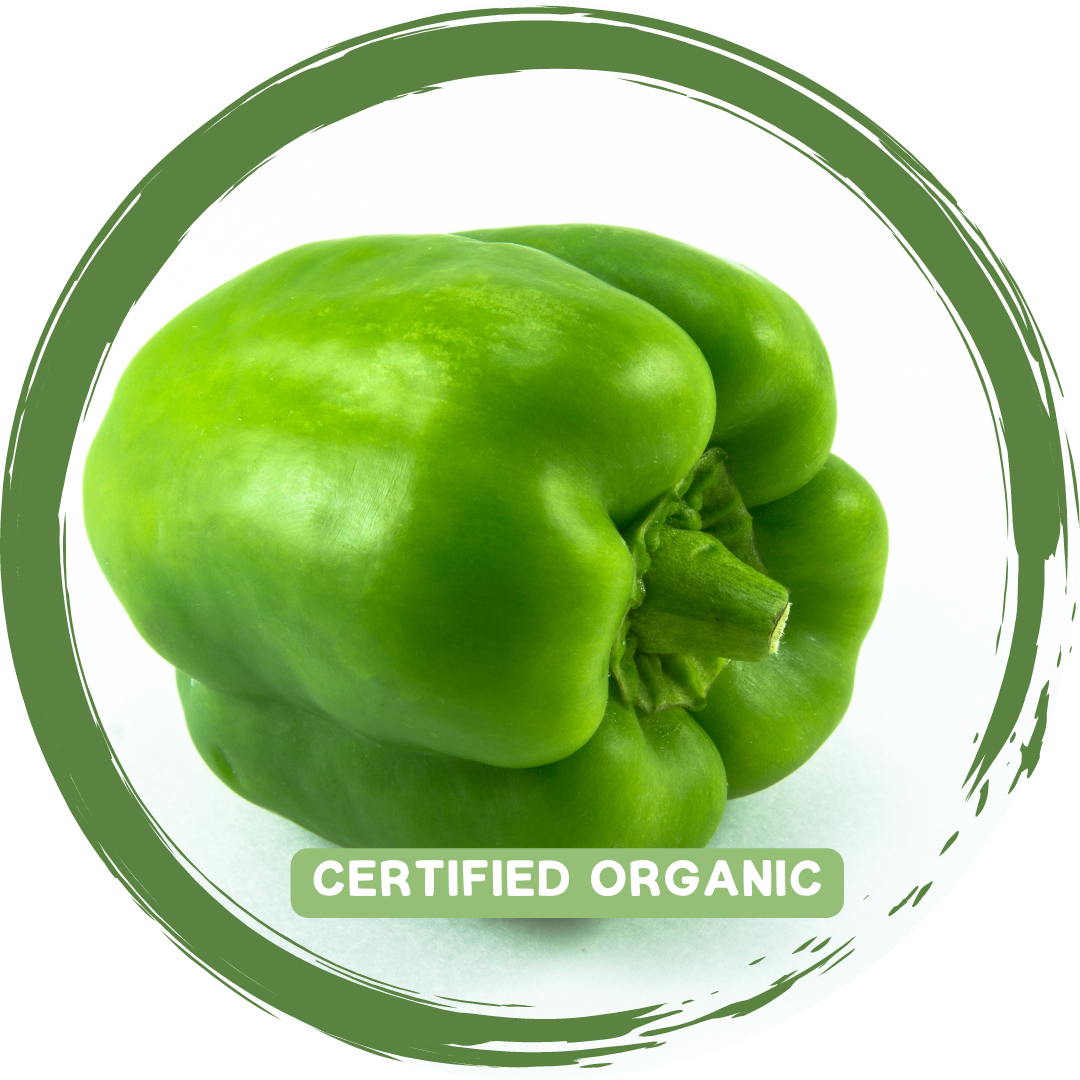 Capsicum Green each - Certified Organic