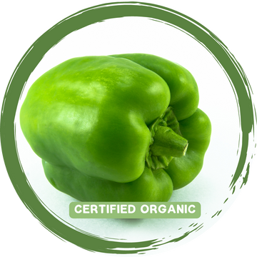 Capsicum Green each - Certified Organic
