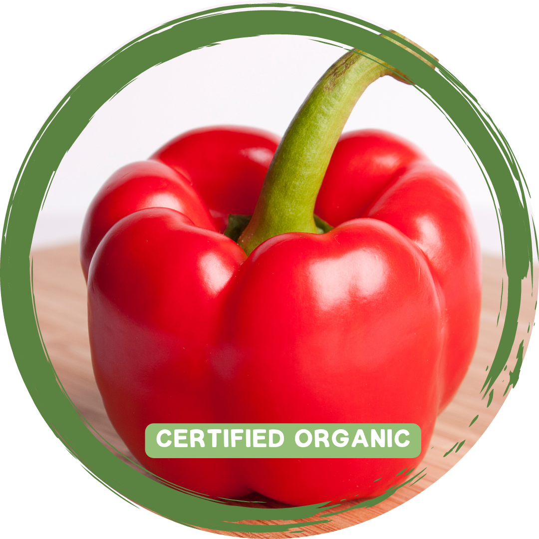 Capsicum Red/Coloured each - Certified Organic