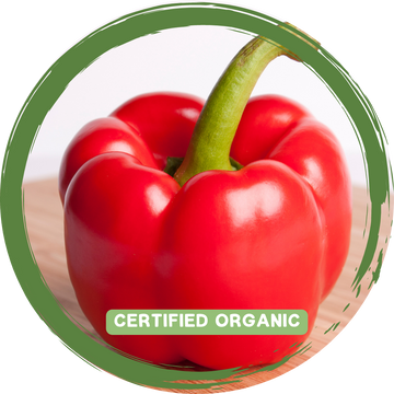 Capsicum Red/Coloured each - Certified Organic