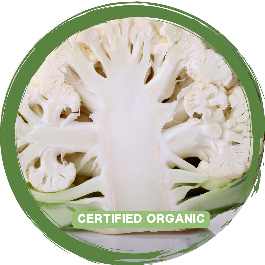 Cauliflower Half- Certified Organic