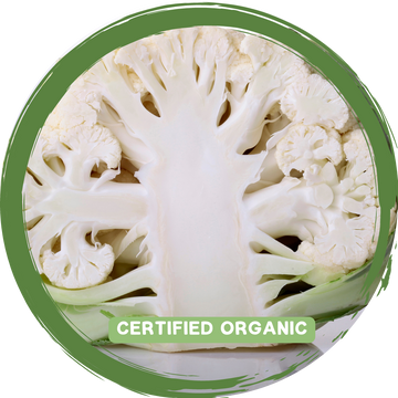 Cauliflower Half- Certified Organic