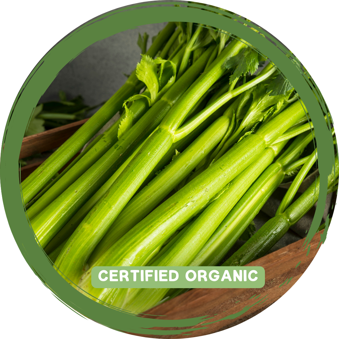 Celery box - Certified Organic