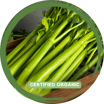 Celery box - Certified Organic