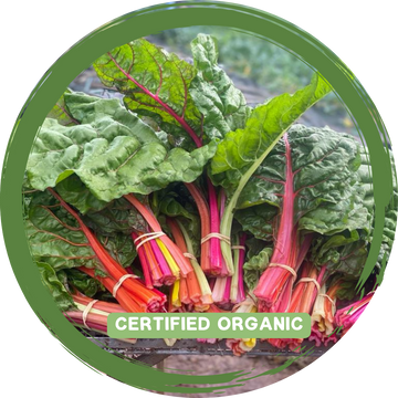 Silverbeet/Rainbow Chard - Certified Organic