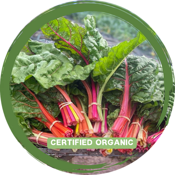 Silverbeet/Rainbow Chard - Certified Organic_