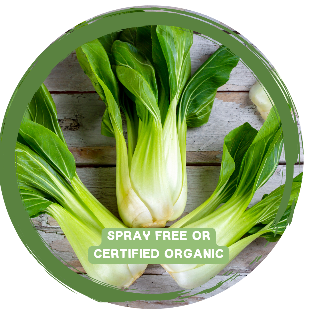 Choi (Bok/Pak) - Certified Organic