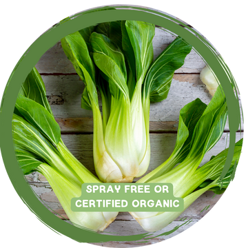 Choi (Bok/Pak) - Certified Organic or Spray Free