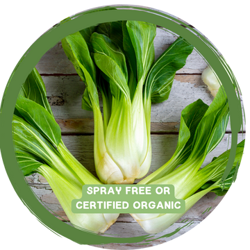 Choi (Bok/Pak) - Certified Organic