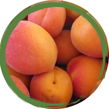 Apricots - Certified Organic