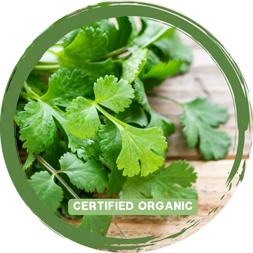 Coriander - Certified Organic