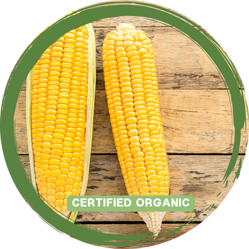 Corn Cob x 2 - Certified Organic_