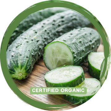 Cucumber Lebanese - Certified Organic