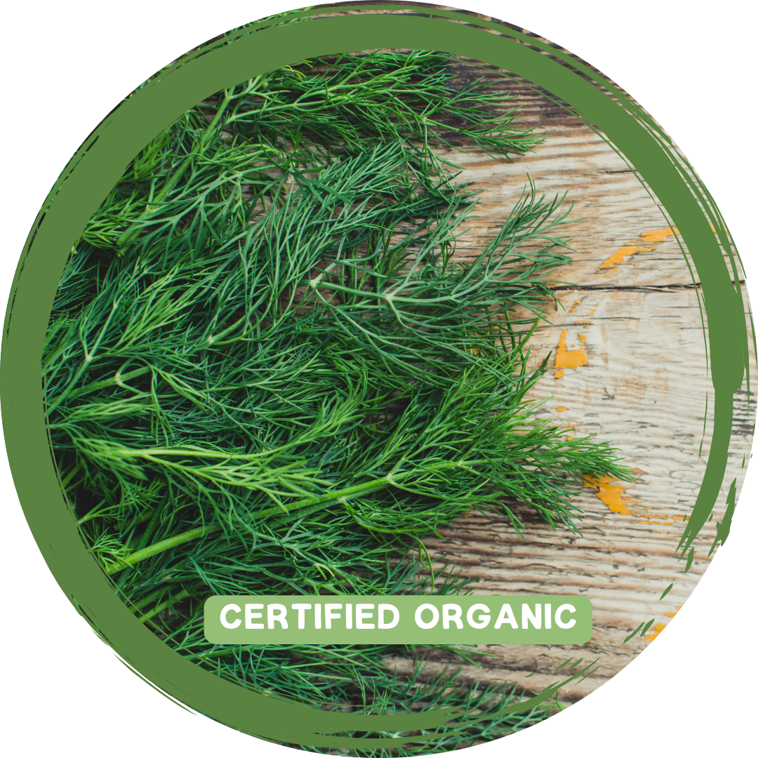 Dill - Certified Organic_