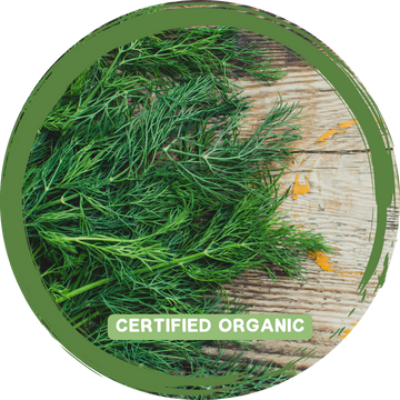 Dill - Certified Organic_