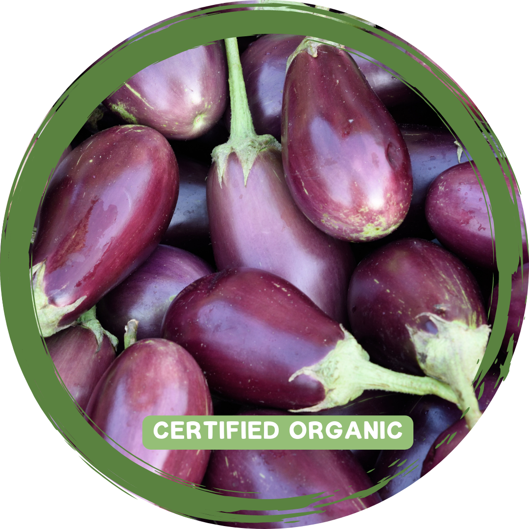 Eggplant - Certified Organic
