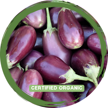 Eggplant - Certified Organic