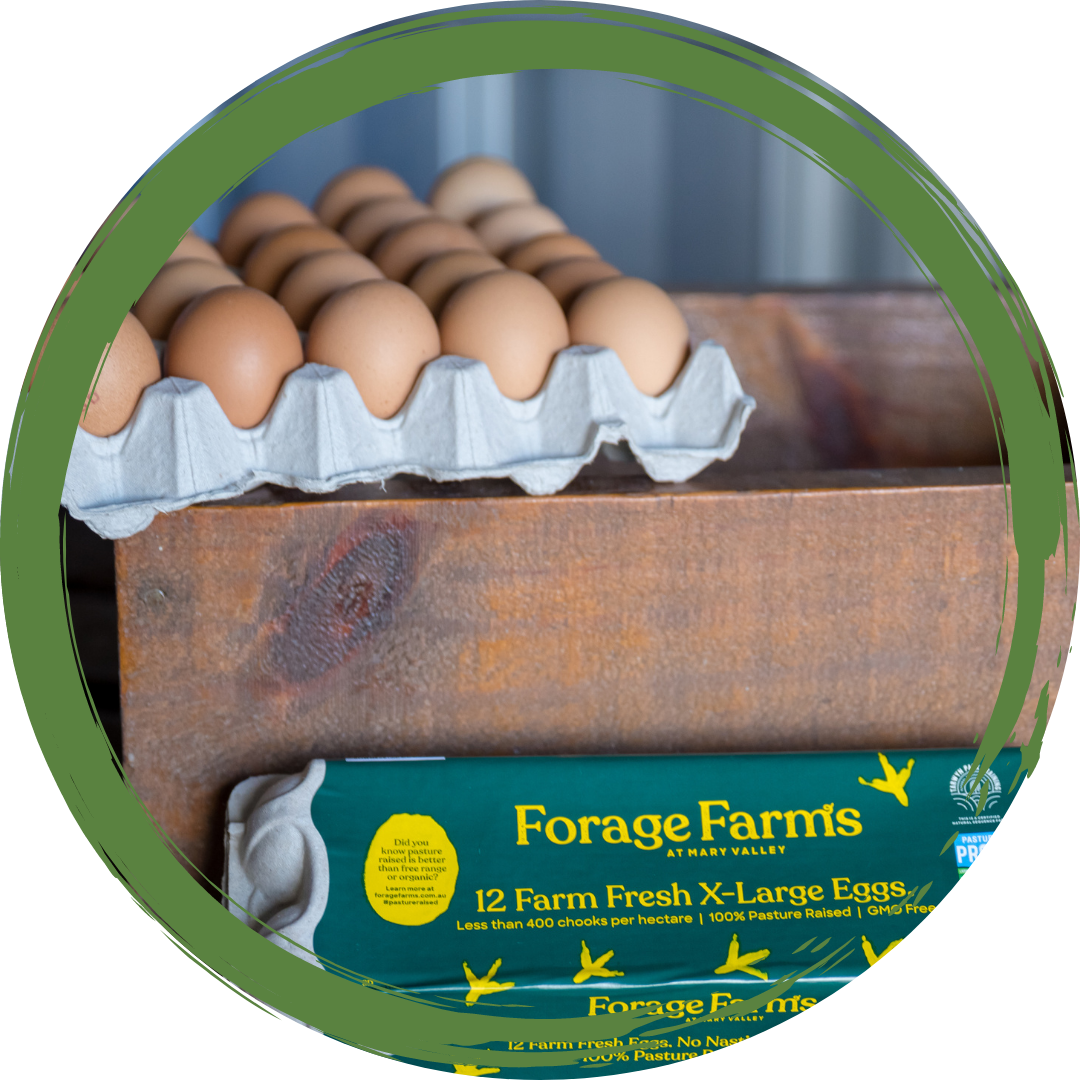 Eggs - Forage Farms