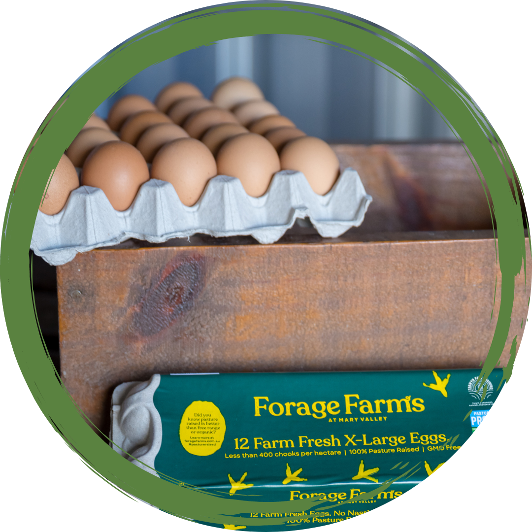 Eggs - Forage Farms/Piggy in the Middle