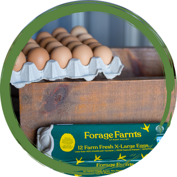 Eggs - Forage Farms/Piggy in the Middle