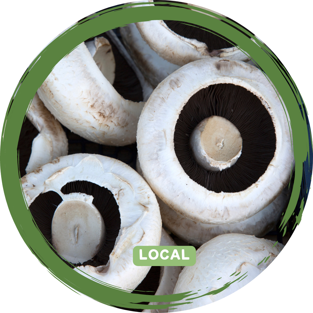 Mushrooms Flat - Local
