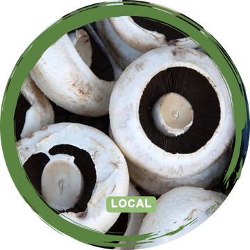 Mushrooms Flat - Local