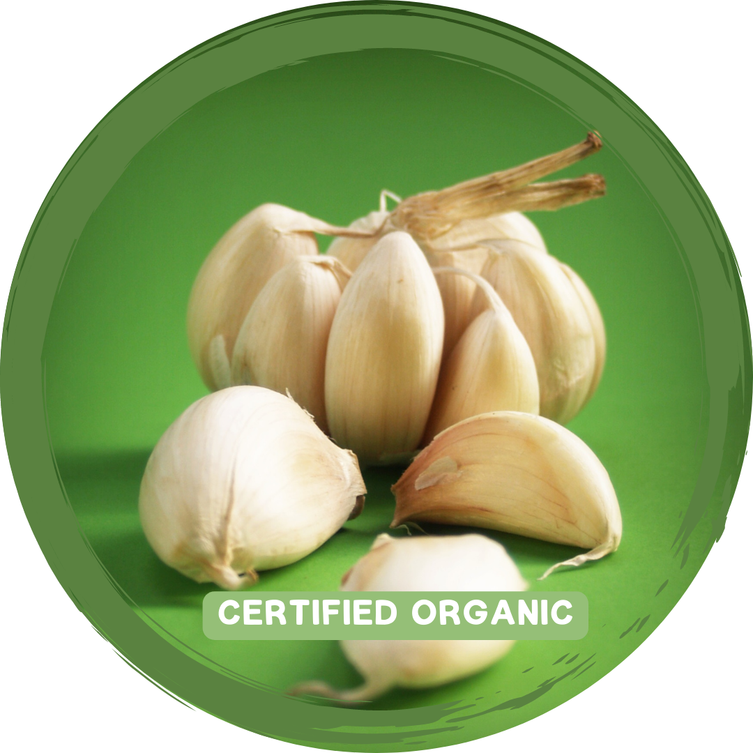 Garlic - 80gm  - Certified Organic