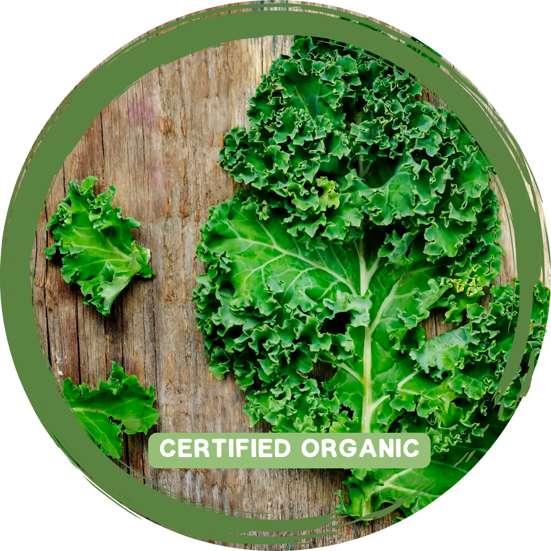 Kale - Certified Organic