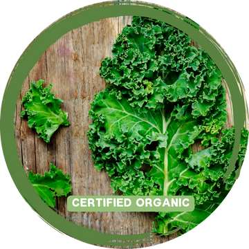 Kale - Certified Organic