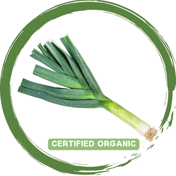 Leek Single- Certified Organic