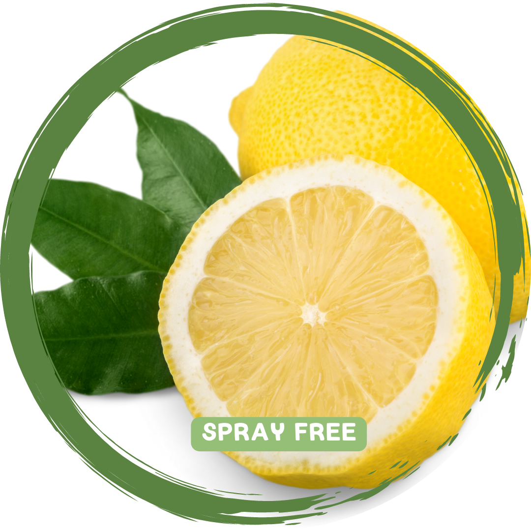 Lemons - Local Spray-Free