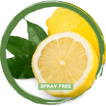 Lemons - Spray Free