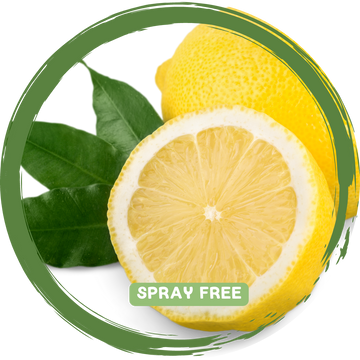 Lemons - Local Spray-Free