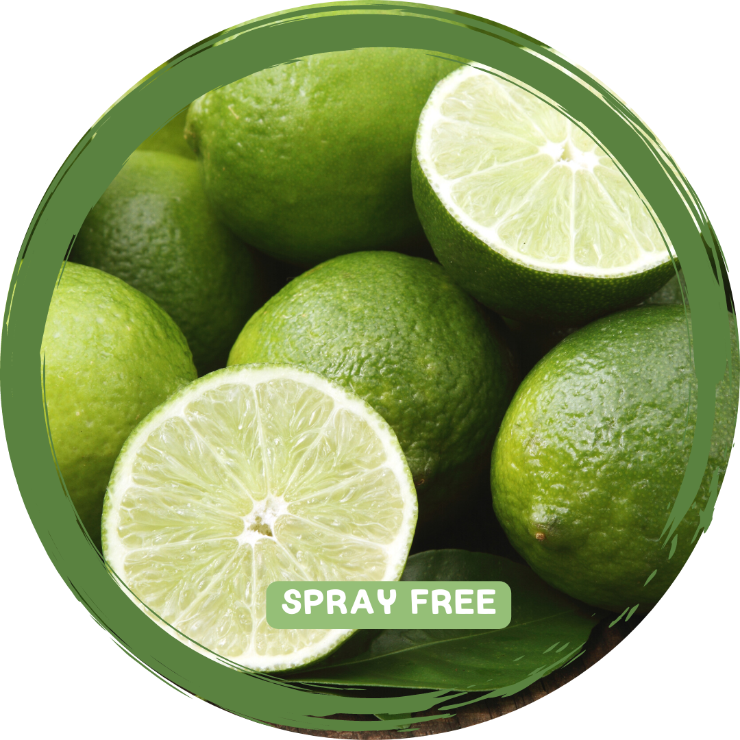 Limes - Locally Sourced