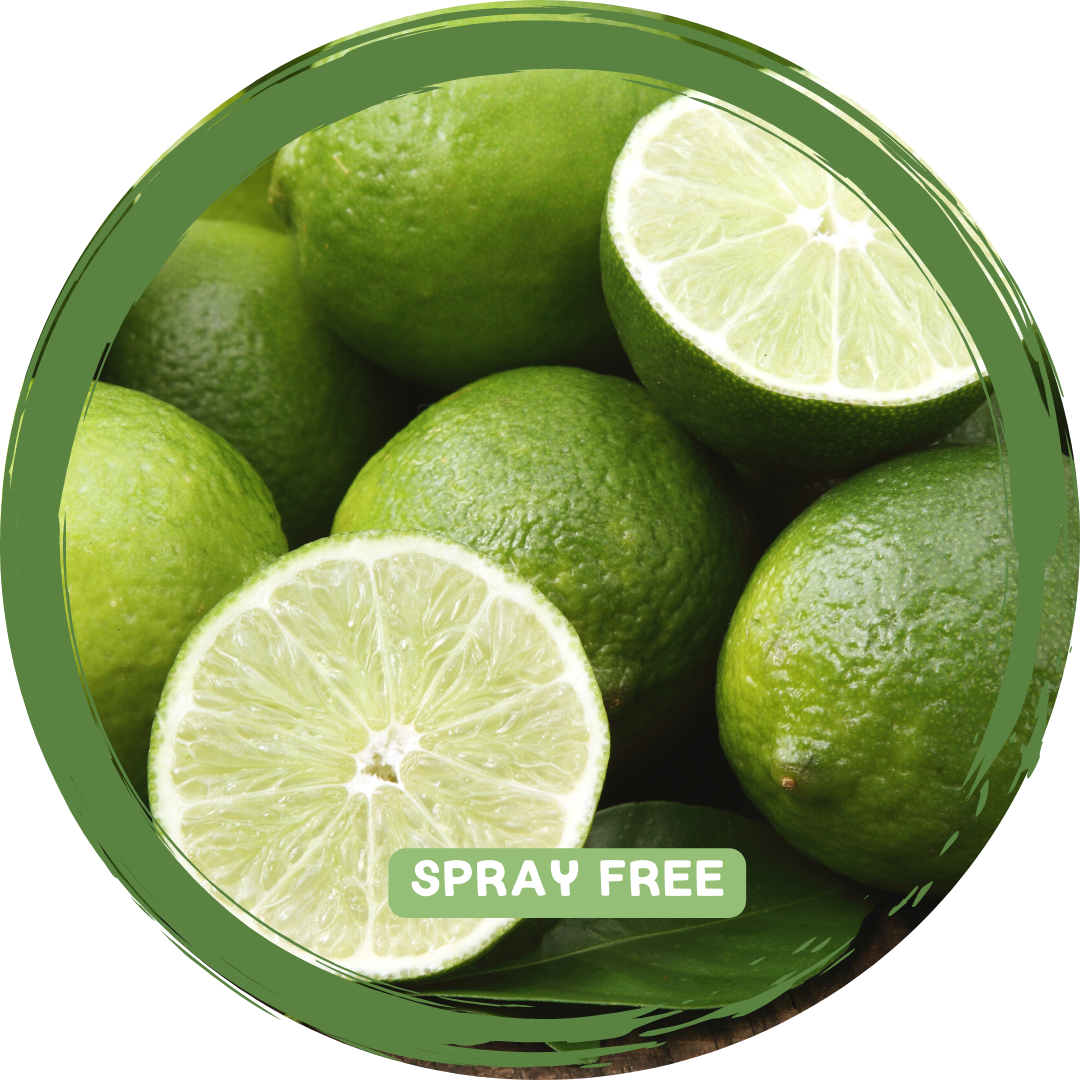 Limes - Local Spray Free