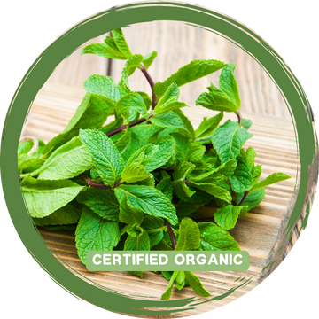 Mint Bunch - Certified Organic