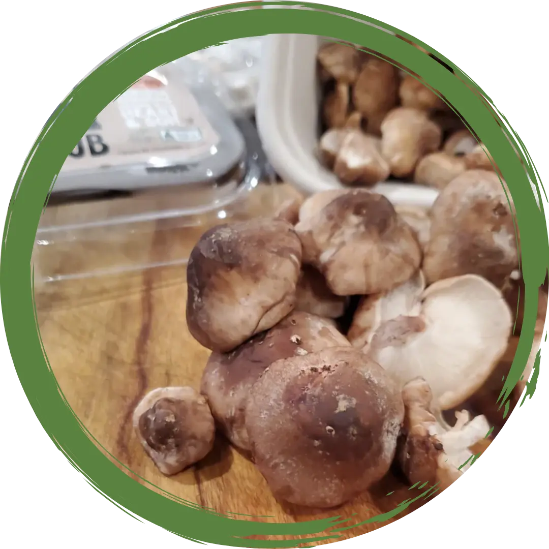 Mushrooms Shiitake 100gm - Certified Organic