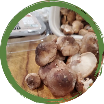 Mushrooms Shiitake 100gm - Certified Organic
