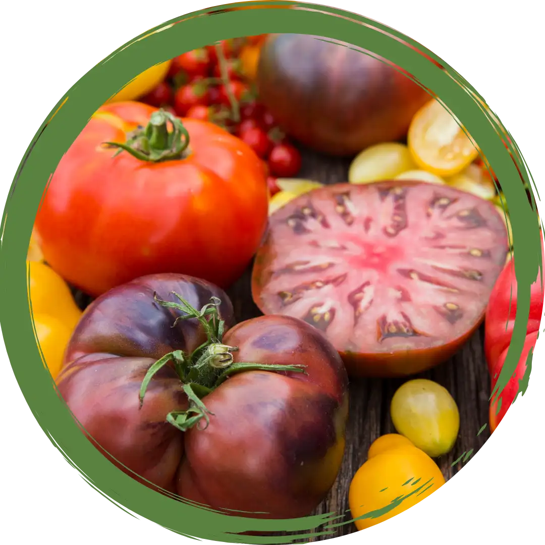 Heirloom Tomatoes - Certified Organic