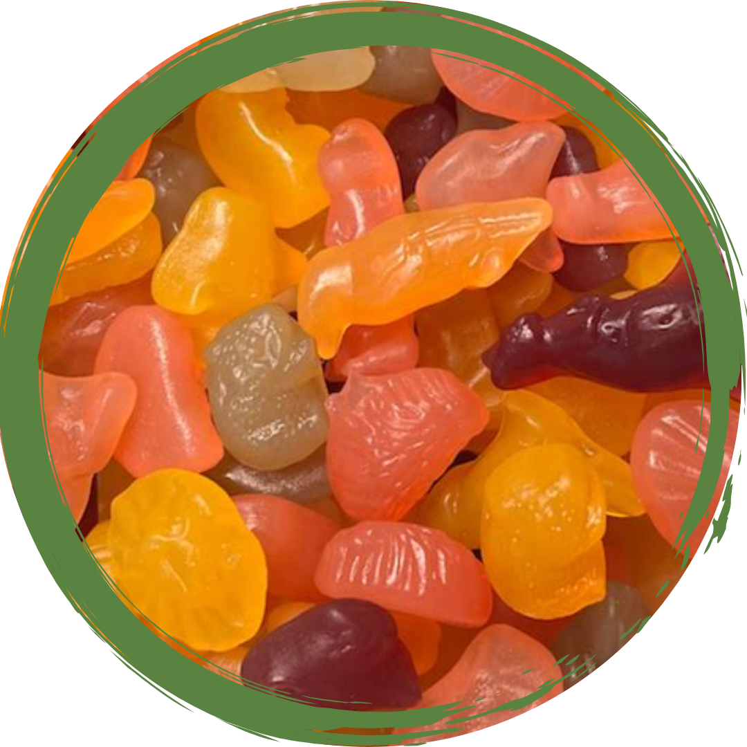 Aussie Animal Vegan Lollies