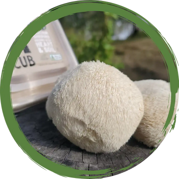 Lions Mane Mushrooms 100gm - Certified Organic