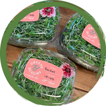 Rocket Microgreens from Greens & Blooms - Certified Organic 250ml