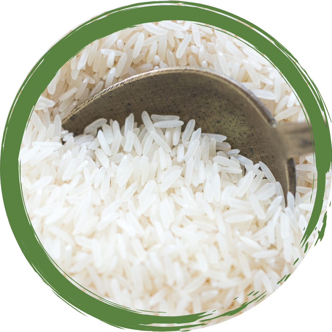 Jasmine White Rice -Organic