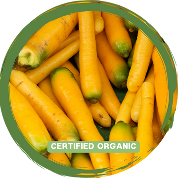 Carrots Coloured (Yellow or Purple) - Certified Organic