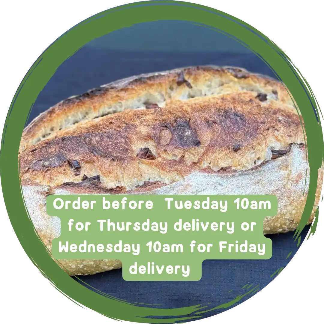 Bread - Signature Organic Olive and Herb Sourdough Loaf
