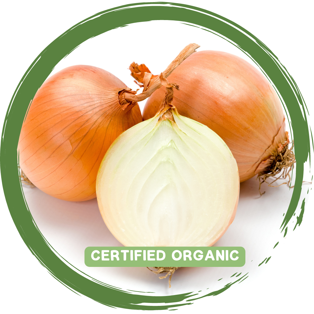 Onion Brown -Certified Organic