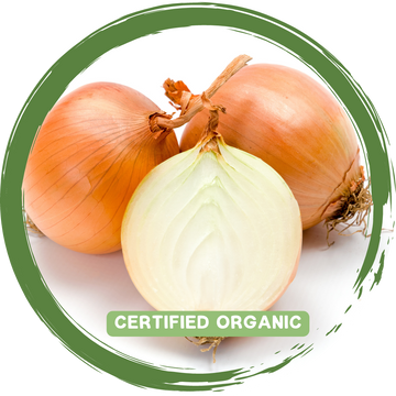 Onion Brown -Certified Organic