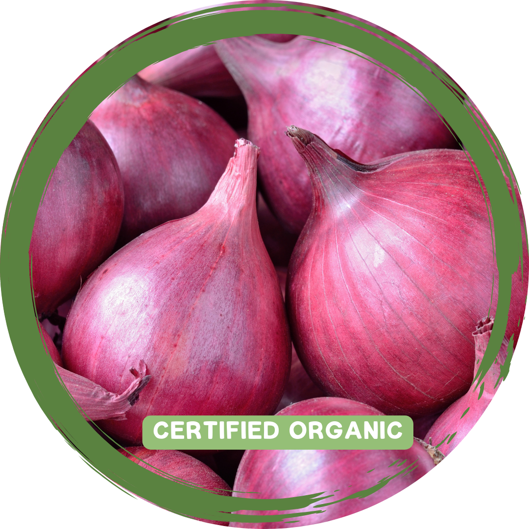 Onion Red - Certified Organic