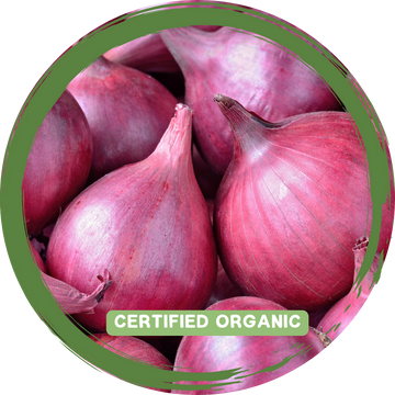Onion Red - Certified Organic