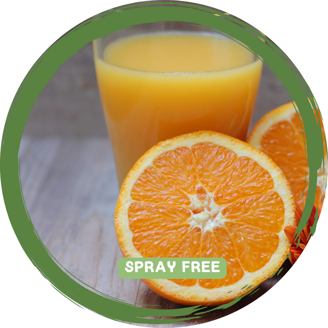 Oranges Juicing 1kg- Local Spray Free